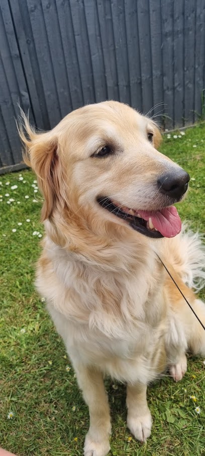 AAS Vets in Quedgeley, Gloucester