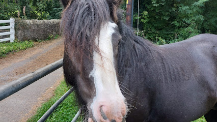 Abbey Equine Centre