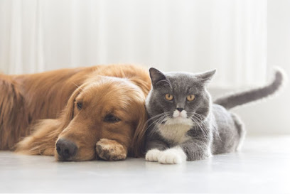 Abbey Veterinary Clinics