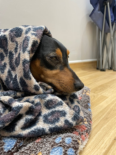 Abbotswood Veterinary Centre