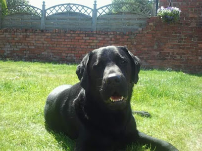 Acacia Veterinary Clinic