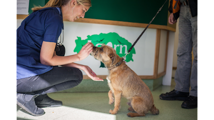 Acorn Veterinary Surgery