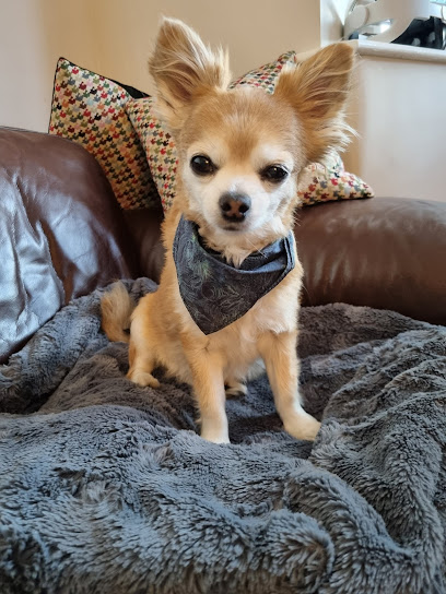 Acorn Veterinary Surgery