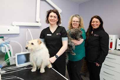 Affinity Veterinary Clinic