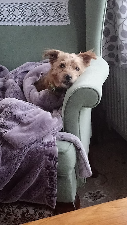 Aldervale Vets - Chapel St Leonards