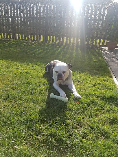 Aldervale Vets - Skegness