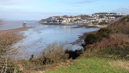 Alexandra & Hillyfields Vets