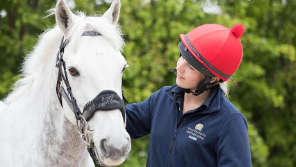 Alnorthumbria Equine Vets