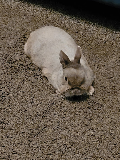 Ambleside Veterinary Centre