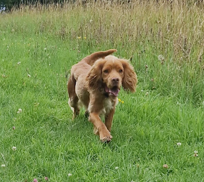 Amicus Veterinary Centre