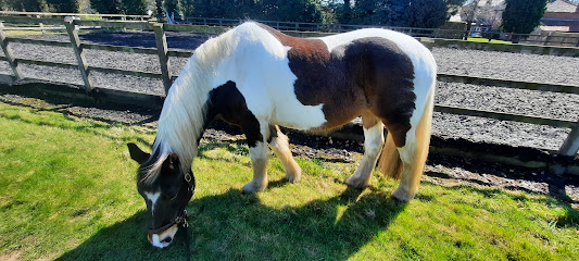 Anchorage Barn Equine Clinic Ltd