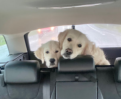 Animal Health Certificates Online (AHC.ONLINE)