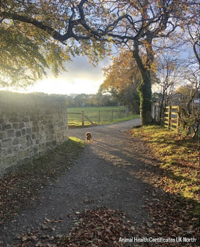 Animal Health Certificates UK North | From £69