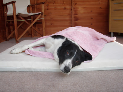 Animal Physiotherapy Ltd