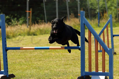 Anna Wilson Veterinary Physiotherapy (including hydrotherapy)