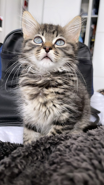 Appleton Hall Veterinary Clinic