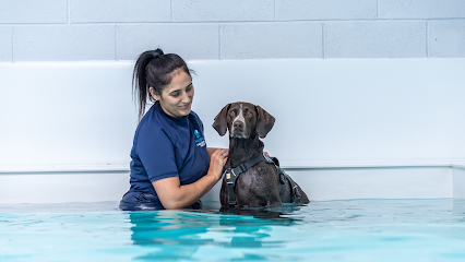 Aquapaws Canine Hydrotherapy & Fun Swim