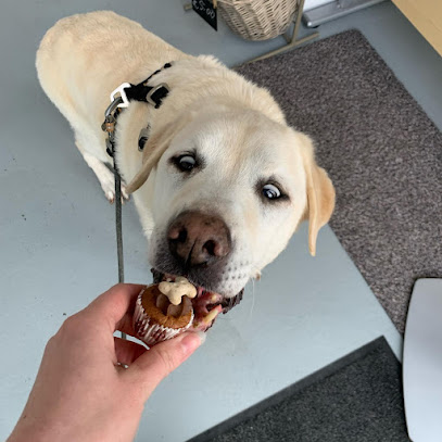 Aquatic Canine Therapy (South) Ltd