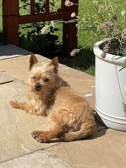 Arberth Veterinary Centre
