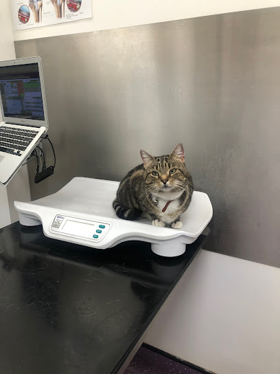 Ark Veterinary Centre