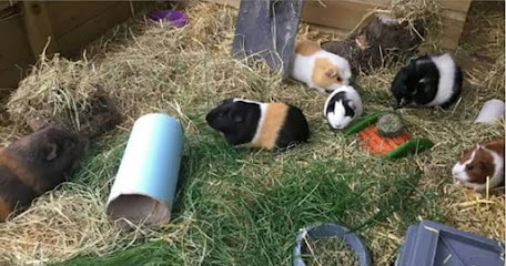 Arrowfield Veterinary Practice