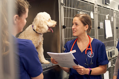 Arun Veterinary Group Ashington