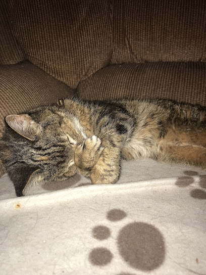 Arun Veterinary Group Pulborough