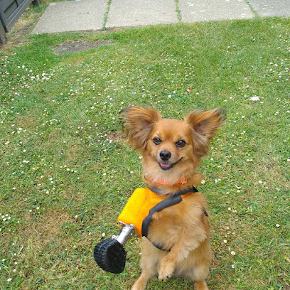 Arun Veterinary Group Storrington