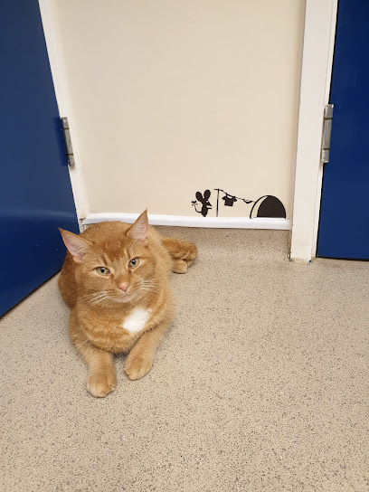 Arvonia Vets Churchdown Veterinary Centre