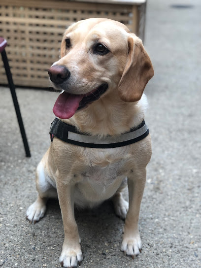 Ash Croft Veterinary Practice LLP - HARDWICK