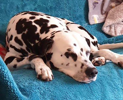 Ashcroft Veterinary Surgery