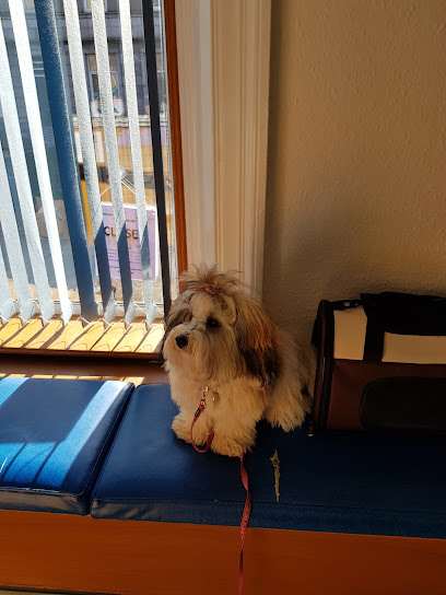 Ashgrove Veterinary Centre Ltd