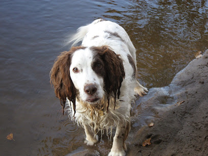 Ashley Veterinary Centre