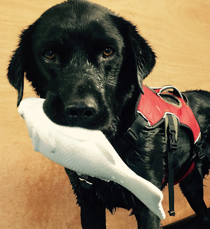 Avonside hydrotherapy