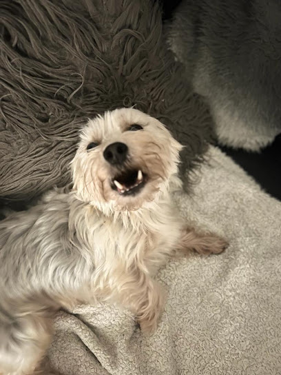 Avonvale Vets in Southam