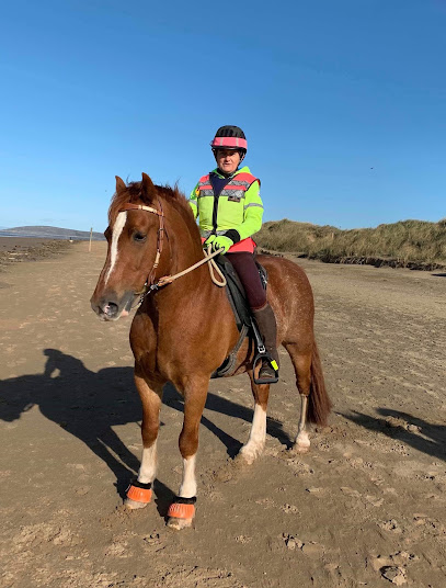 B&W Equine Vets - Stretcholt