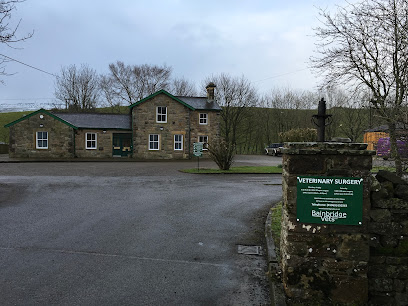 Bainbridge Vets