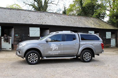 Ballinger Equine