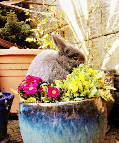 Barnhouse Veterinary Surgery