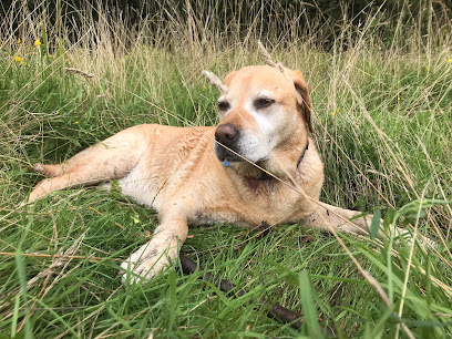 Barrington Lodge Veterinary Clinic