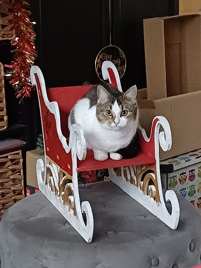 Beech House Veterinary Clinic Ltd