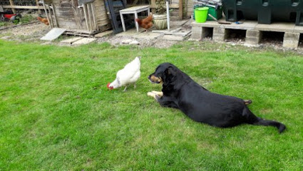 Beech House Veterinary Surgery