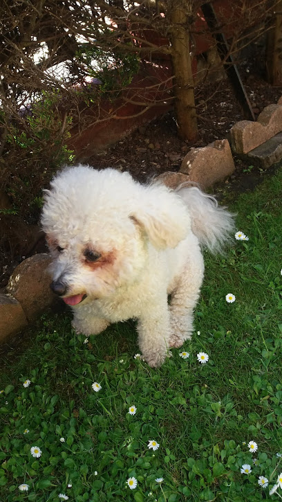 Beechwood Veterinary Centre