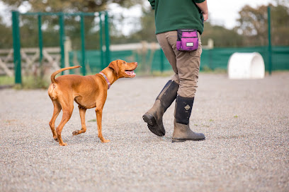 Behavioural Referrals Ltd Veterinary Practice