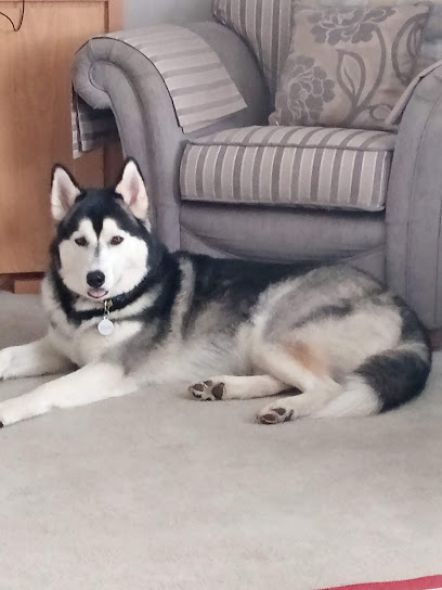 Belgrave House Veterinary Surgery