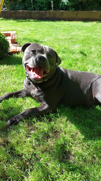 Benfleet Veterinary Surgery