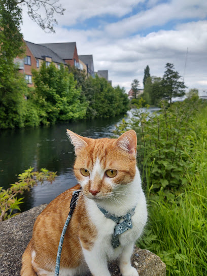 Bishop’s Stortford Veterinary Hospital
