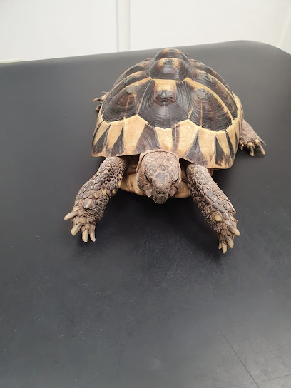 Bishopton Veterinary Group