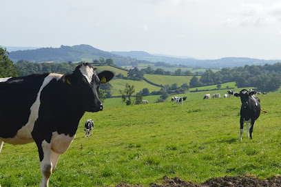 Blackdown Farm Vets Limited