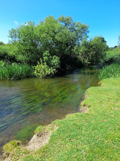 Blackmore Vale Veterinary Centre